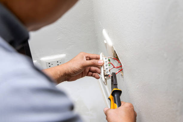 Best Electric Panel Repair  in Napavine, WA